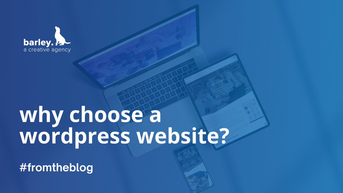 Barley_Agency's tweet photo. Wordpress is one of the largest web platforms worldwide and is what we use to build our #websites. But why should you choose #wordpress over anything else? Our latest blog tells you exactly that: https://t.co/NJjCTFNPL8 

#wordpresswebsite #webdesign #webdesignagency https://t.co/N9LgovU9Uf