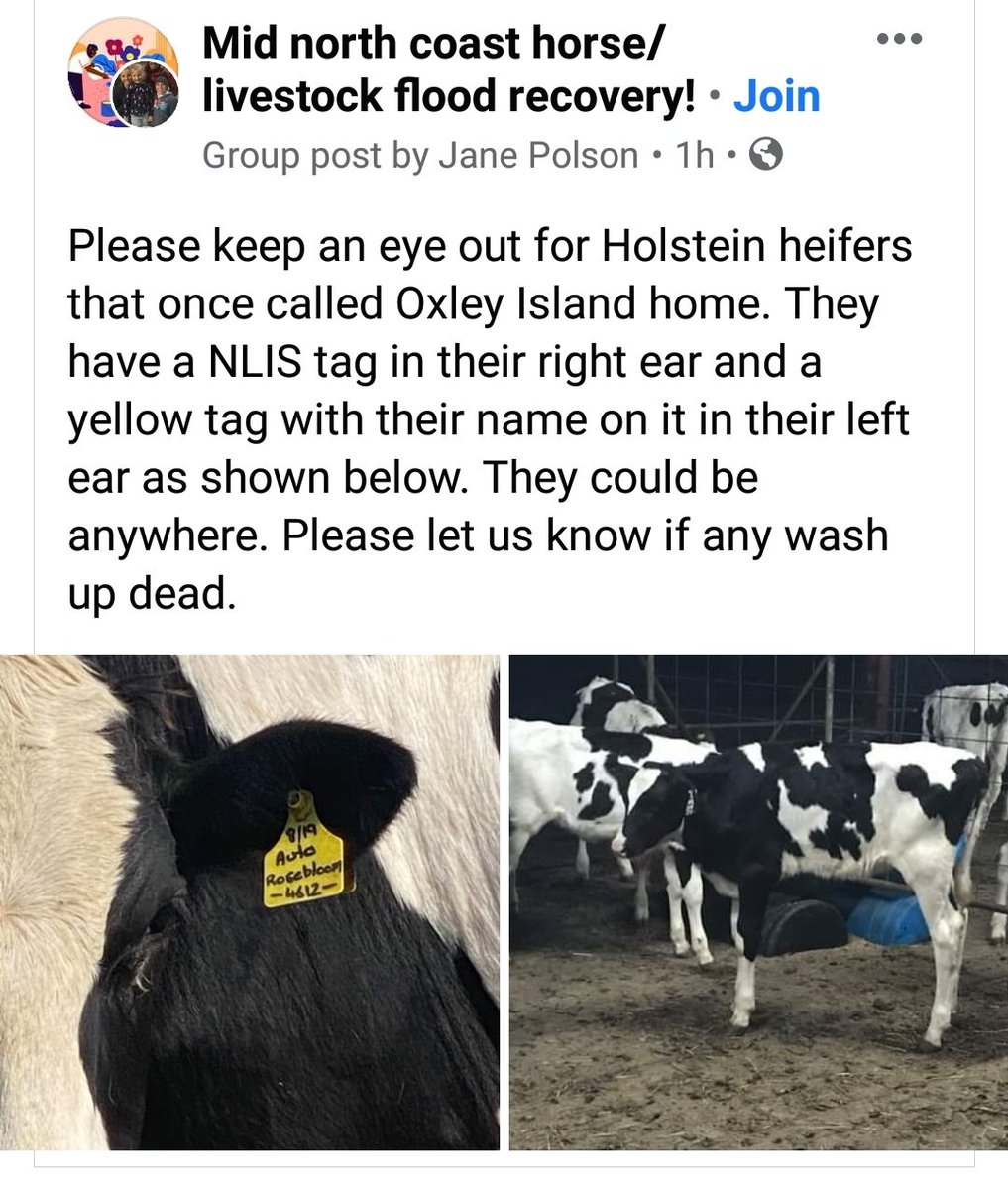 Please share !
Absolutely beyond comprehension...
#NSWFloods

<a href="/HolsteinAust/">Holstein Australia</a>