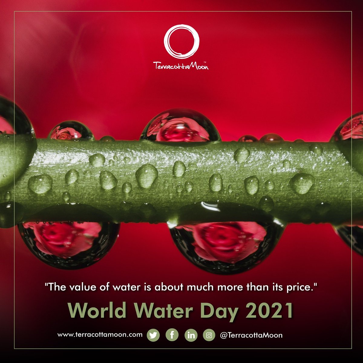 TerracottaMoon's tweet photo. The value of water is about much more than its price
Happy #WorldWaterDay2021
#WaterIsLife
#TerracottaMoon https://t.co/YxoFrYIzbf
