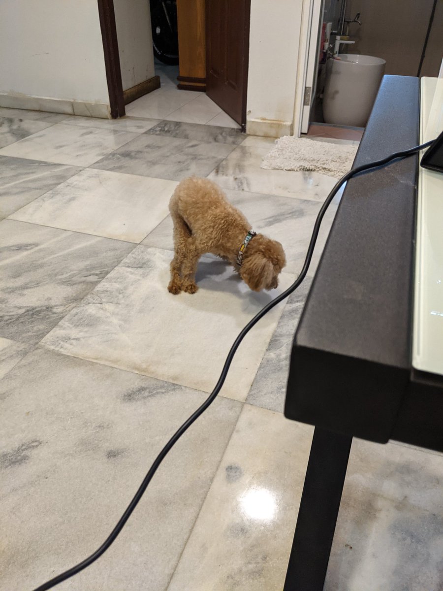 effpee_TT's tweet photo. keeping these here for memories. been spending way too much time with Teddy during MCO I think I'll miss him a bit when I leave 😭 https://t.co/cJN8Yoa3XF