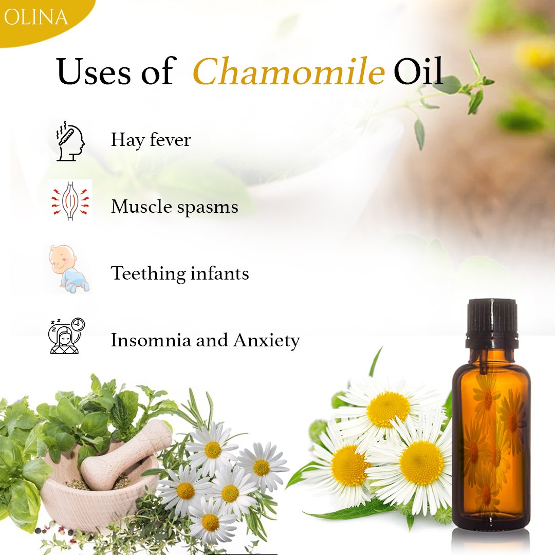 OlinaEssential's tweet photo. #Olina 

Chamomile Uses: 
1️⃣ Hay Fever 
2️⃣ Muscle Spasms 
3️⃣ Teething Infants
4️⃣ Insomnia and Anxiety

#Chamomileoil #Chamomile #essentialoils #OlinaEssentialOil  #essentials https://t.co/LxLOm5kcQG