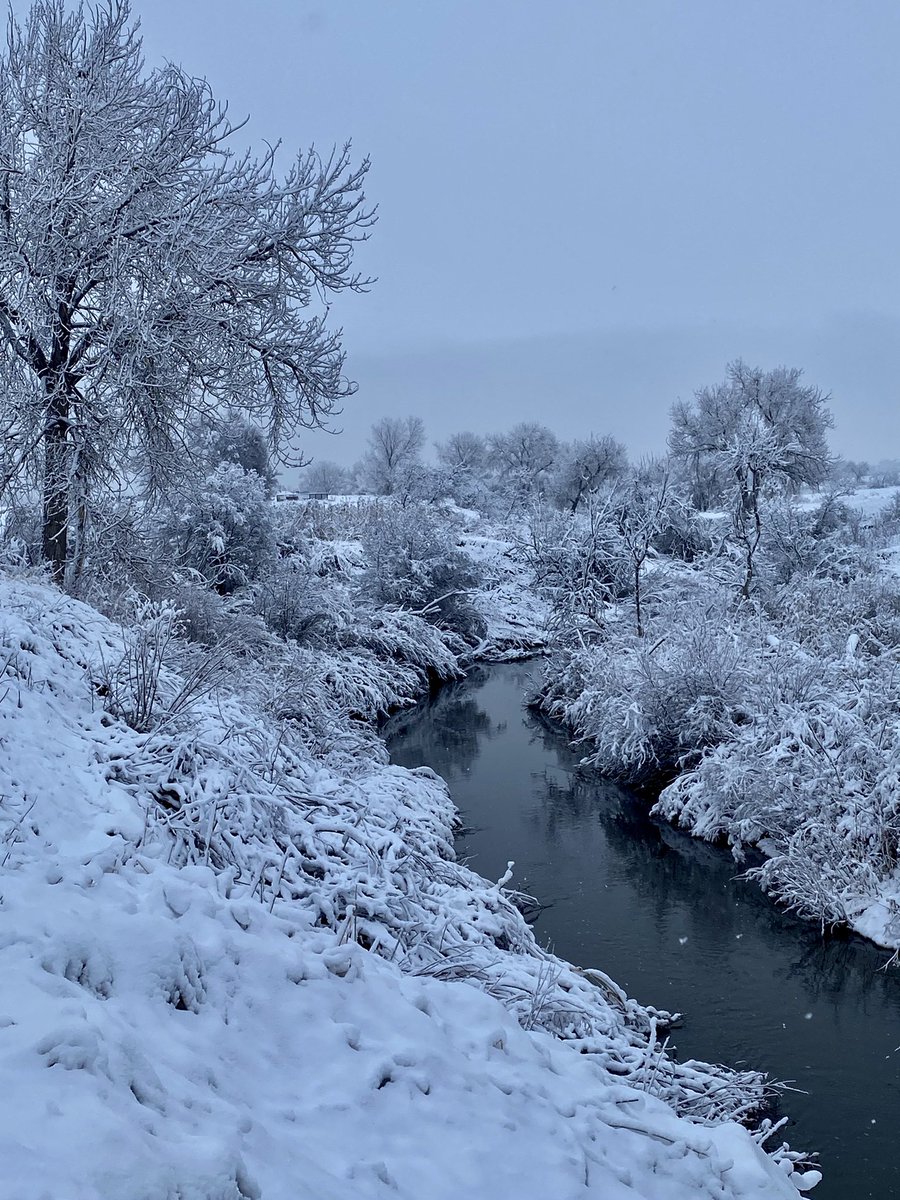 dklein7's tweet photo. Beautiful, Peaceful walk, #SpringWonderland this morning at #MetzgerFarms #OpenSpace #Broomfield & #Westminster #ColoRADo 3/22/2021 #SpringTimeInTheRockies #Goose #Coyote #GreatBlueHeronRookery https://t.co/aHQxDFhTkm