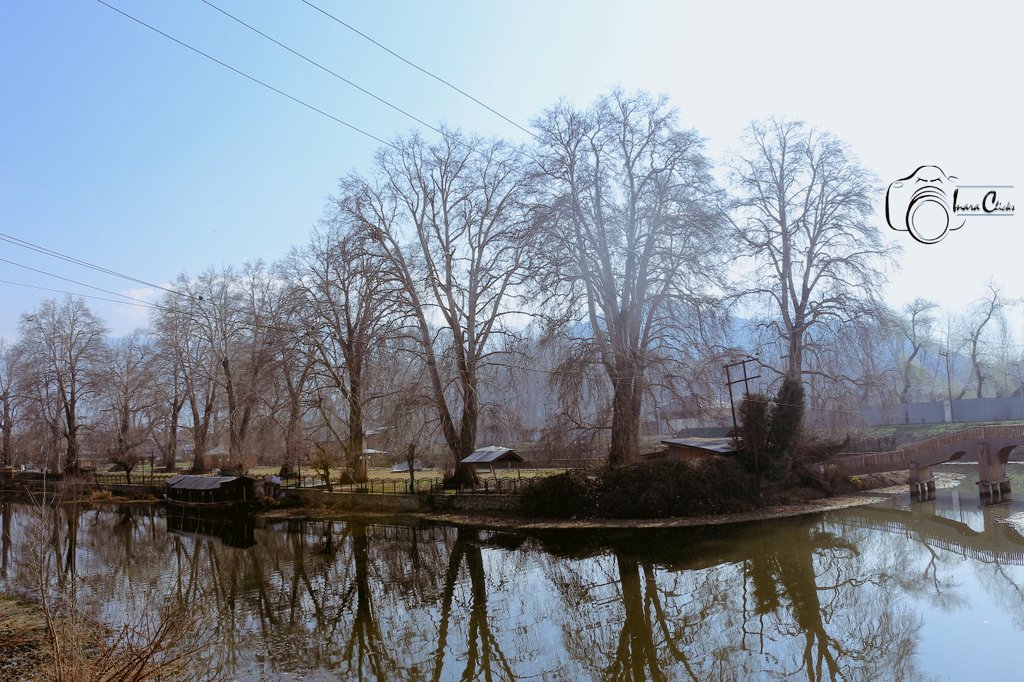 Walking along the banks of dal lake #weather #NaturePhotography #LAKE #valley #photographer #motivation #Monday #landscape #ThisMorning #Mondayvibes #Kashmir #WATCH #PicOfTheDay #canon #mondaythoughts #quotes #quote #mountain #life #water #PhotoOfTheDay
#love
P.C. <a href="/Rakhshanda08/">Er. Rakhshanda Tazeen</a>