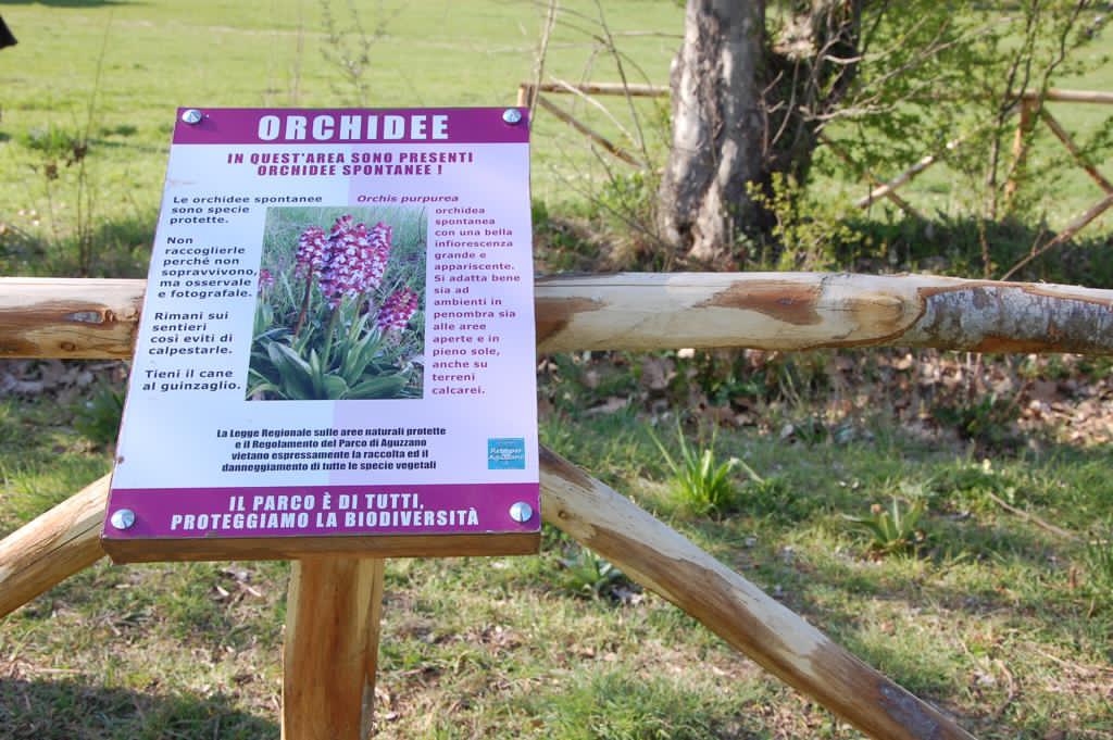 EnteRomaNatura's tweet photo. Tre Giardini di Orchidee e il Frutteto della Biodiversità, conclusi alcuni dei lavori portati avanti dai “Volontari del Verde” nel Parco Regionale Urbano di #Aguzzano. ➡️https://t.co/Mbvv7BLzhZ https://t.co/mZabMV0nAh