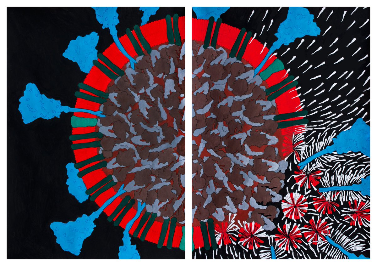 TheSTEMTimes's tweet photo. Todayโs post in our #CELLSPACE series @sarahiannucci1 speaks about how soap deactivates the coronavirus
#scicomm #sciart
https://t.co/fKLFERFaZB https://t.co/XlDFsuKe0D