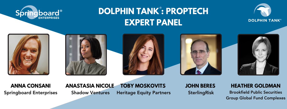 dolphintank tweet media