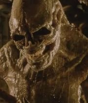 Y&rsquo;all feen over whyte people thinking they the best looking race and this is all of them in question<a href="/tag/newprofilepic"class="tags"><span>#newprofilepic</span></a>