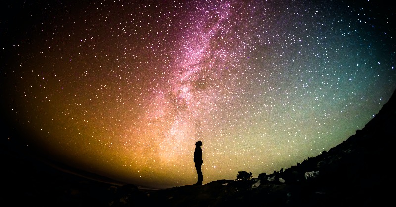 OxLifelongLearn's tweet photo. Join us for a study holiday in Oxford this summer and enrol on a week-long course in science and the natural environment. From understanding the behaviour of animals to studying astronomy through the ages, there's a course for you. #StudyHoliday