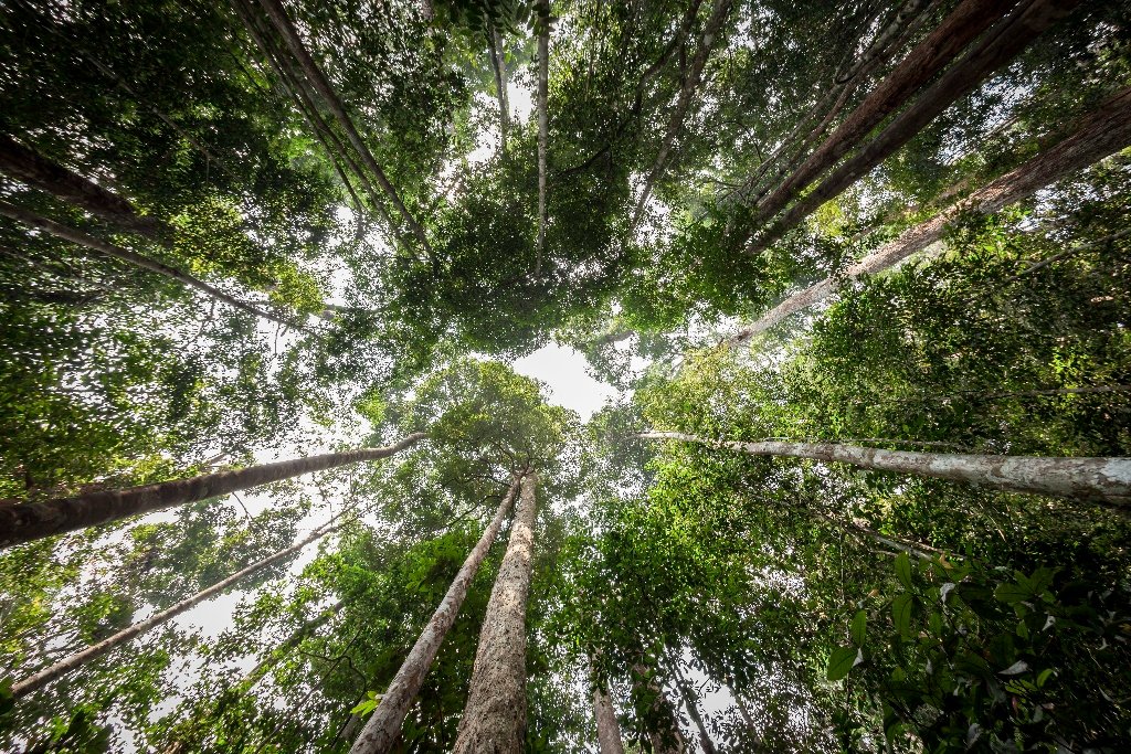 news_packaging's tweet photo. @Ranpak Earns Full FSC® Certification for its Paper Packaging Products!
Rad the full story here , , , https://t.co/M60E2gUddx
#packaging #sustainable #sustainability #circulareconomy #recycling #environment #paperpackaging #paperbasedpackaging #ecommerce https://t.co/WYWAxeh341