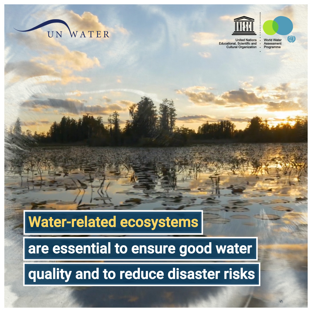 IAHS_AISH's tweet photo. #WorldWaterDay #WWDR #ValuingWater  free report now available https://t.co/8zXixL7OVA https://t.co/VcN3d3EJYi