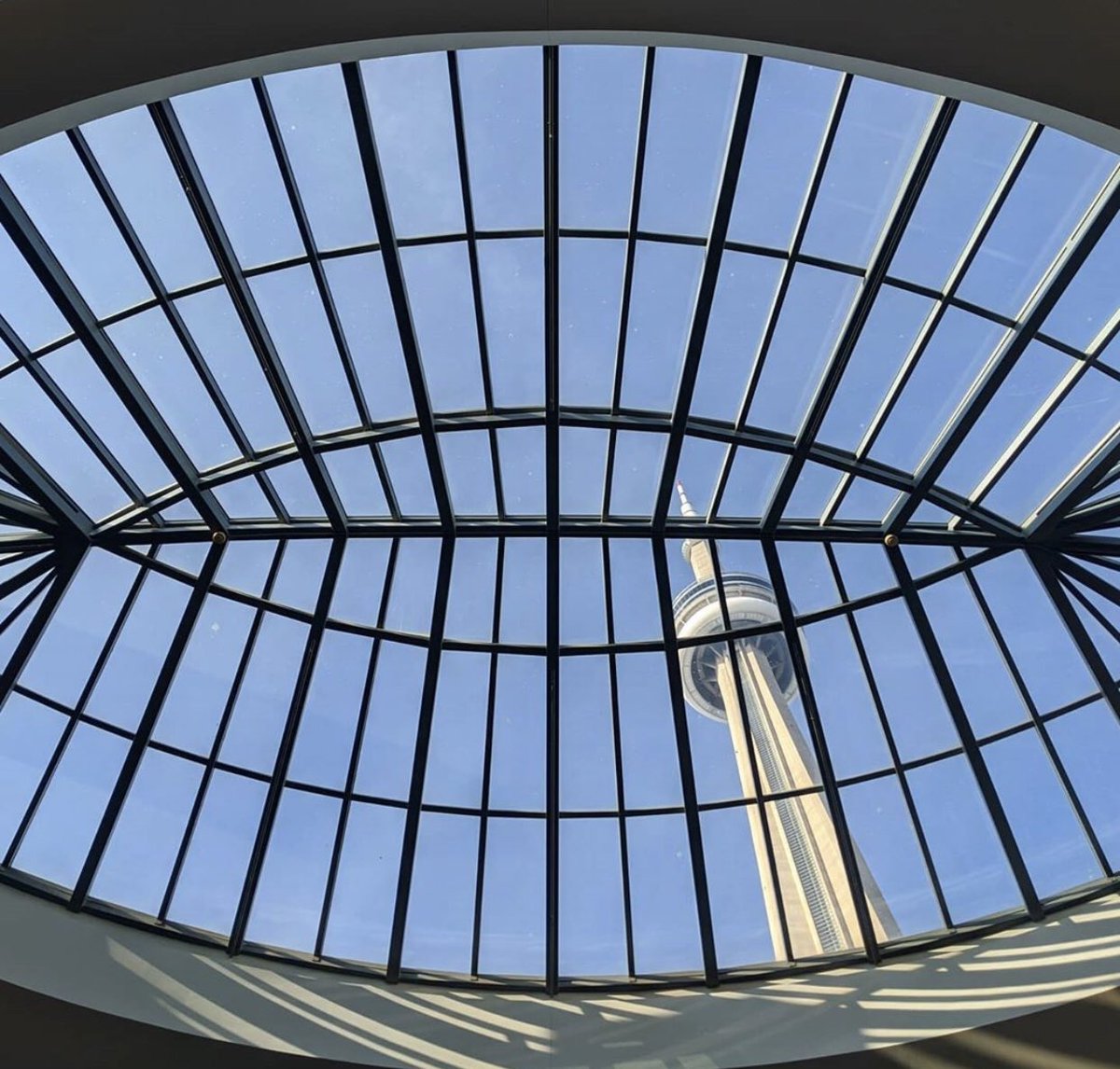 MTCC_Events's tweet photo. Spring means sunshine in our South Building skylight βοΈβοΈ #firstweekofspring #mondaymotivation https://t.co/qCmcIIKnNf