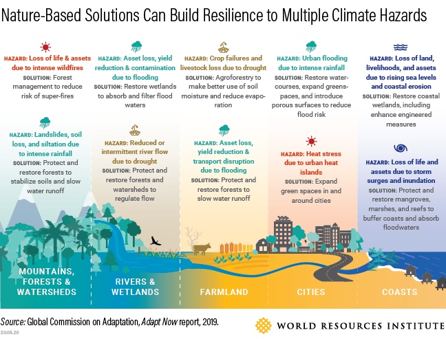 ManishBapnaNRDC's tweet photo. Nature-based solutions build resilience to multiple climate hazards, and are key to adapting to climate change. But new @WorldResources research finds public international funding isn't flowing fast enough.

See what barriers must be addressed: https://t.co/fpVPZdRsIS https://t.co/LoeC7NgEec