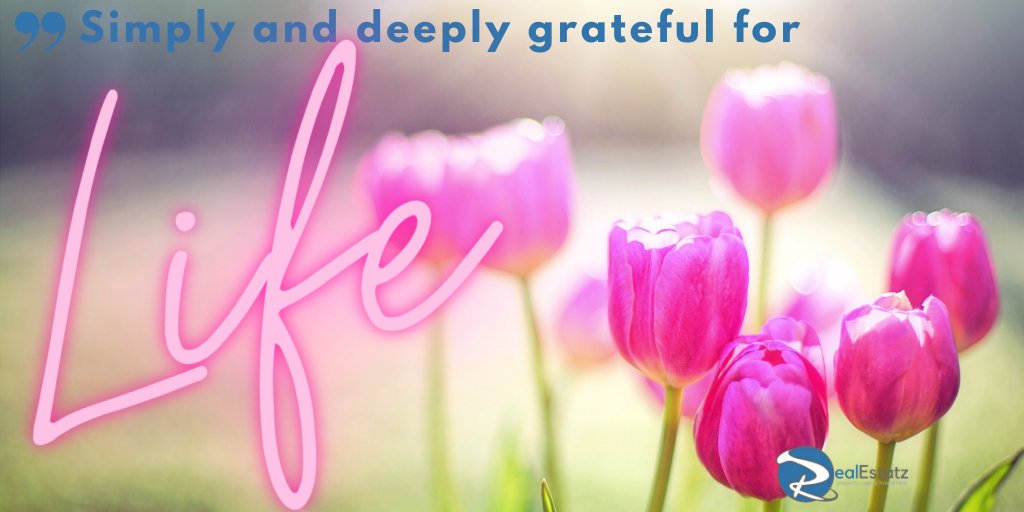 RealEstatz's tweet photo. Pause for a second, Someone is praying right now for what you dismiss. Forget all complaints. Now feel deep, intense, gratitude for all that you do have: Life✨💖 #MondayMotivation https://t.co/k6X6yncKAQ