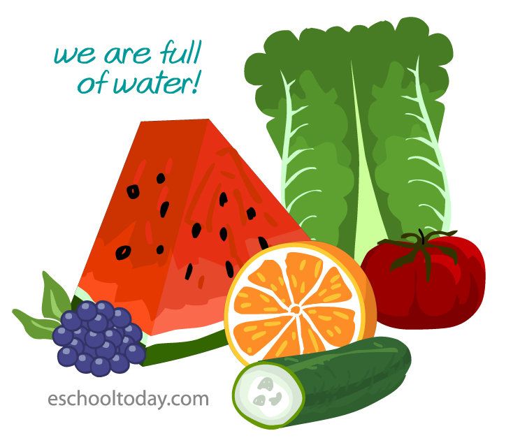 eschooltoday's tweet photo. How much water should I drink in a day? What kinds of foods add more water to my daily needs? #nutrition #water #foodnutrients https://t.co/QoV19405j7 https://t.co/tPTxG8bzpN