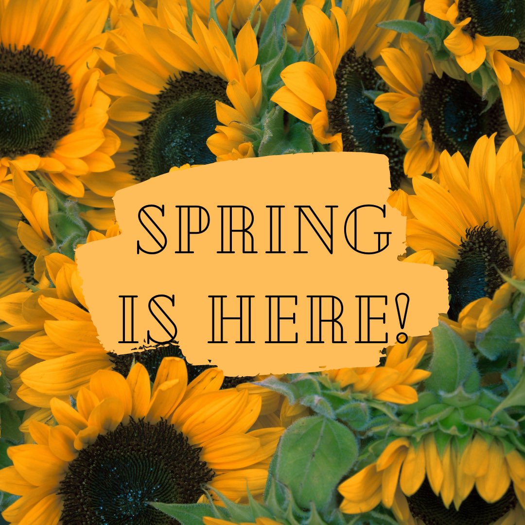 bbryerson's tweet photo. 🌻 HAPPY SPRING EVERYONE!🌻
It’s a beautiful day today! If you can, try and get outside and enjoy the sunshine ☀️ 🌺 https://t.co/5QqzBqkABd