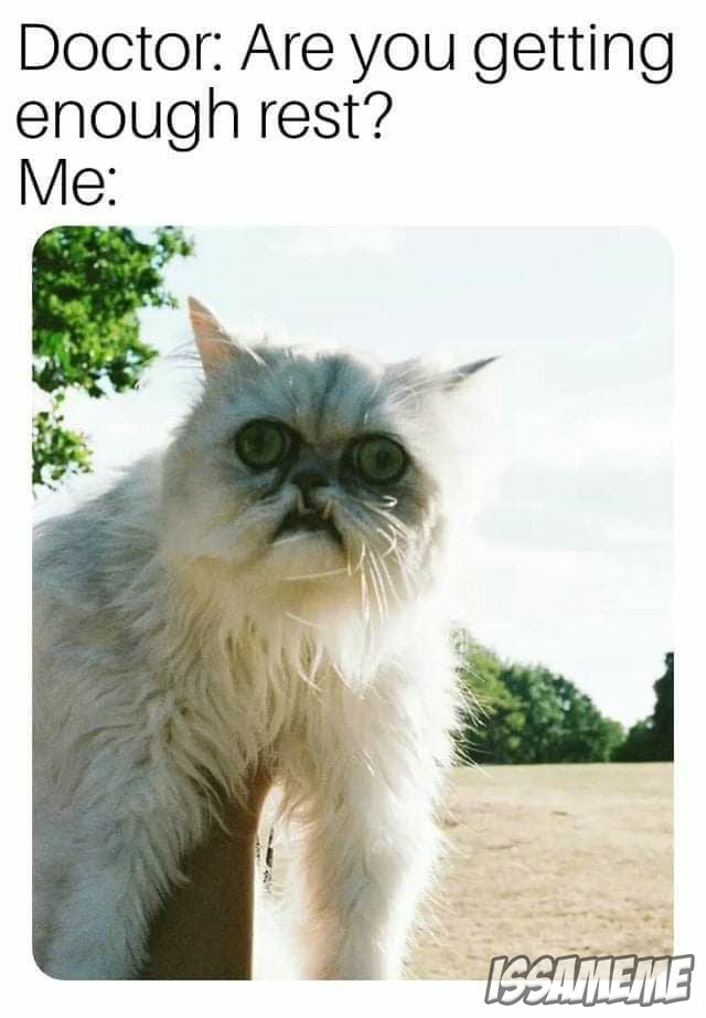 IssaMemePapi's tweet image. Damn.
.
.
.
.
.
.
#issameme #memes #memesdaily #dankmemes  #funnymemes #offensivememes #edgymemes #dailymemes #spicymemes #fortnitememes #bestmemes #btsmemes #tiktokmemes #memesfunny #memesdank #likes4like #followforfollow #followback

beacons.page/issameme