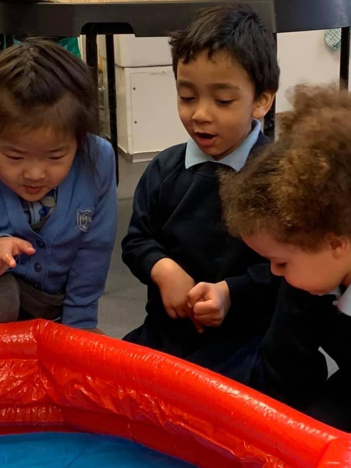 💙 Nursery class have enjoyed watching the ducks hatch and grow... and swim! 🐣🐥💙
