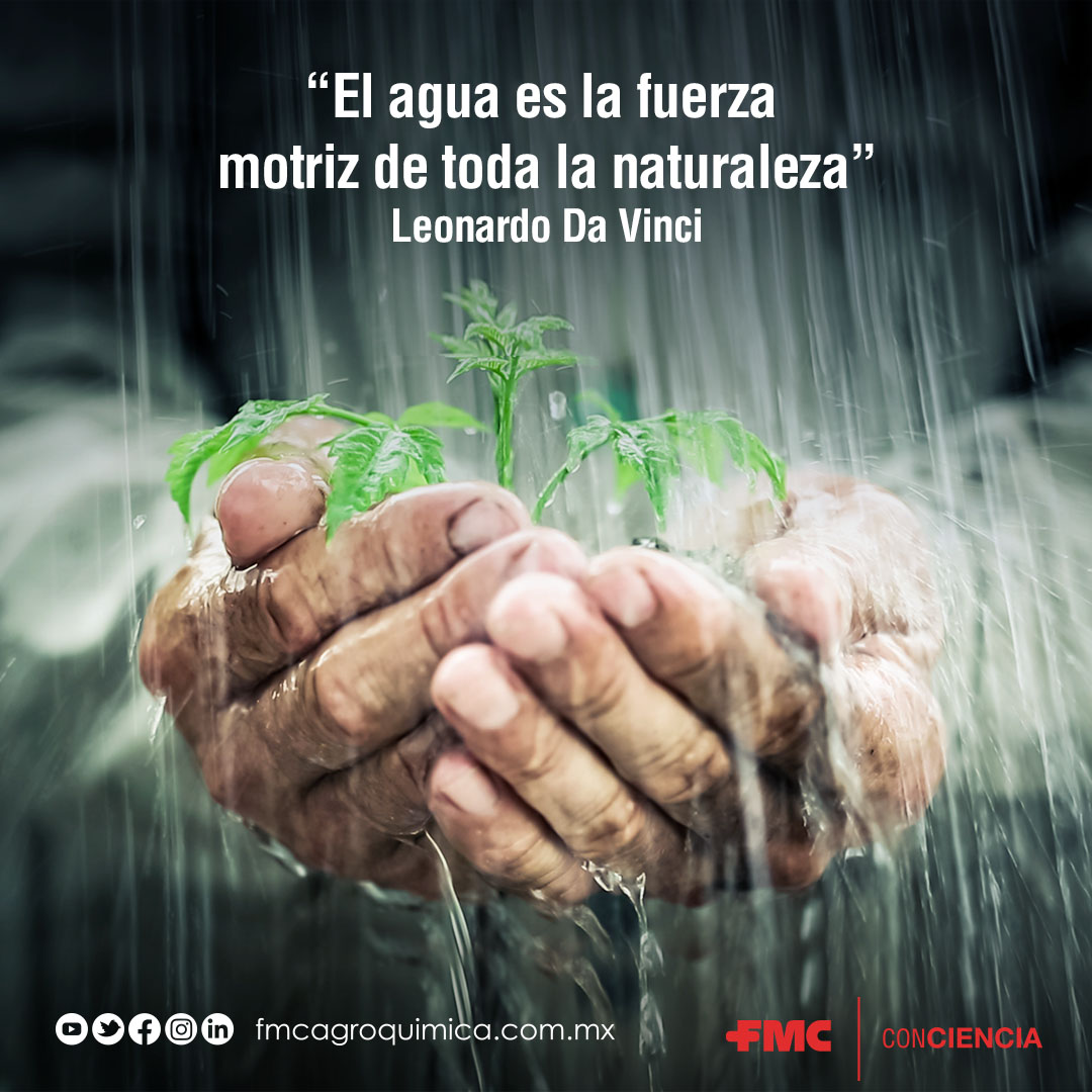 Hoy conmemoramos el #DíaMundialDelAgua 💧 un día para reflexionar y hacer #ConCiencia de que juntos podemos proteger este elemento fundamental en nuestras vidas.🤠👍