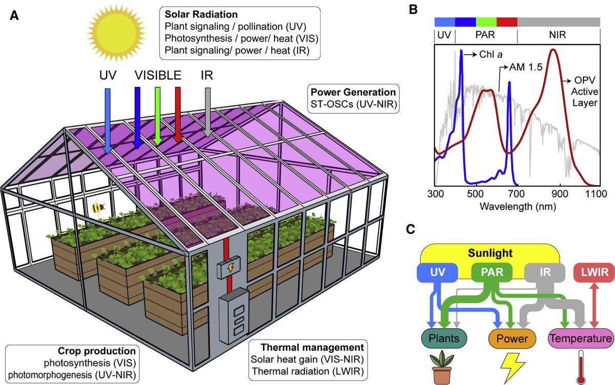 J3ROMY_'s tweet photo. Excited to share that our collaboration with @NcsuOracel was just published in @CellPressNews! In here, we work on incorporating semitranspartent organic solar cells to a greenhouse &amp; investigate the effects on plant growth.

https://t.co/cFyMSJFZN3

https://t.co/uJnOZeHbVL https://t.co/j9YSCCvW03