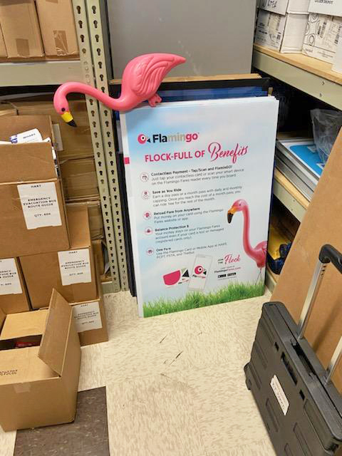 GoHART's tweet photo. What could we possibly be doing with all of these Flamingos π¦©? π€
#FlockWeek #JoinTheFlock https://t.co/KYwr36CMFI