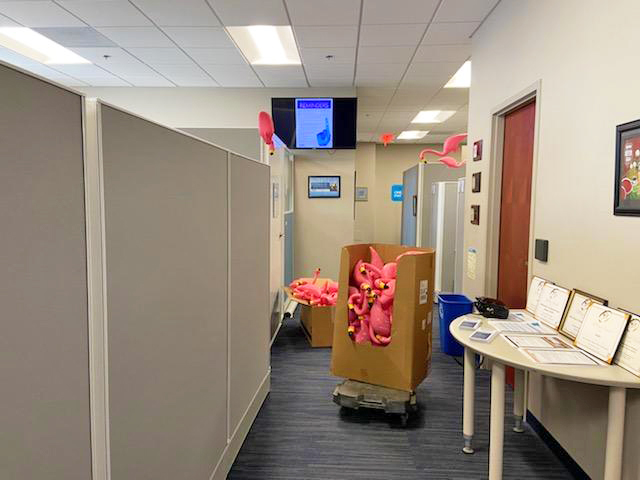GoHART's tweet photo. What could we possibly be doing with all of these Flamingos π¦©? π€
#FlockWeek #JoinTheFlock https://t.co/KYwr36CMFI