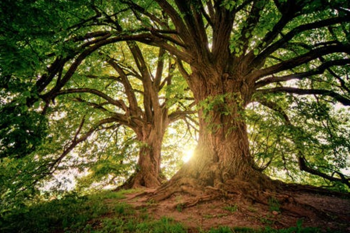 Core_EM's tweet photo. How and why palliative care is literally life-changing in the ED.  

https://t.co/MTfPKBb1Tp

#MedEd #Palliativecare #NYUBellevueEM https://t.co/Yyk8rAel9o
