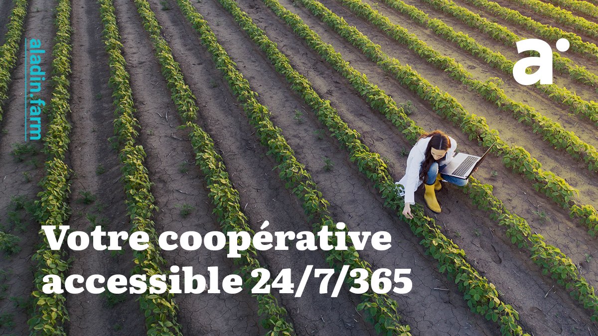 aladin.farm tweet media