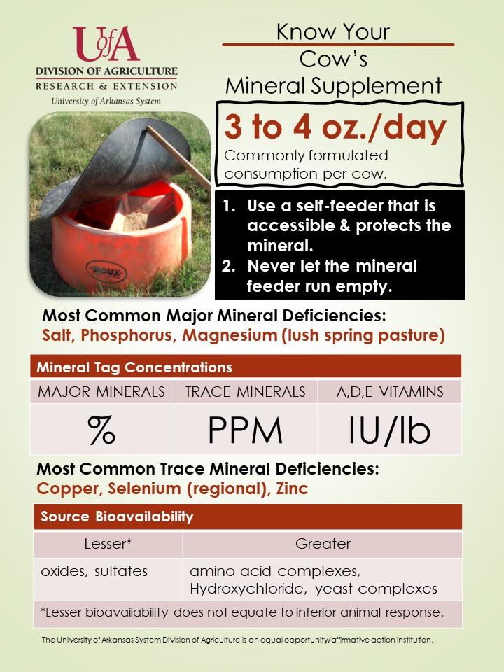 UAEX_CATTLE's tweet photo. Pastures are greening up and spring breeding isn't far away. Arkansas forages can be marginal to deficient in both major minerals and trace minerals. Formulation and consumption go hand-in-hand for correcting deficiencies. https://t.co/kp0rGe35v4 https://t.co/9gPyj2bVsg