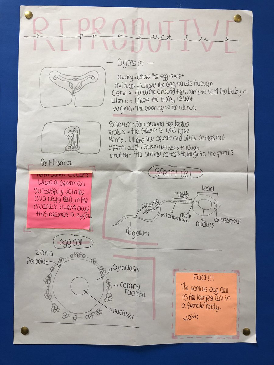 Witham Science tweet media
