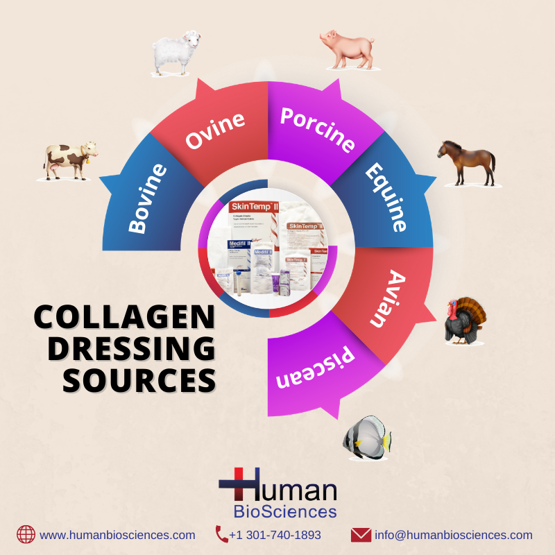 BiosciencesInc's tweet photo. Find out how you can add our collagen products to your formulary or practice. We are a USA manufacturer of brand name and private label for over 30 years. https://t.co/tPMgd440Mv #nativecollagen #bovinecollagen #biotechnology #woundcare #USA #quality #affordable #effectiveness https://t.co/ELhvbzz6EP