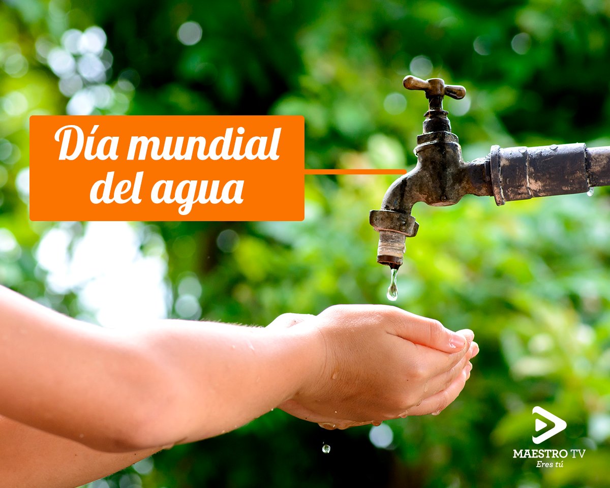 maestroTVSNTE's tweet photo. Gran parte de nuestras actividades diarias dependen del agua.
Sin embargo se calcula que el 97% de toda el agua terrestre es salada y solo el 2,5% se considera dulce, creemos conciencia para preservar este recurso en buen estado y hacerlo accesible a todos los seres humanos. https://t.co/5RjDpAfsmO