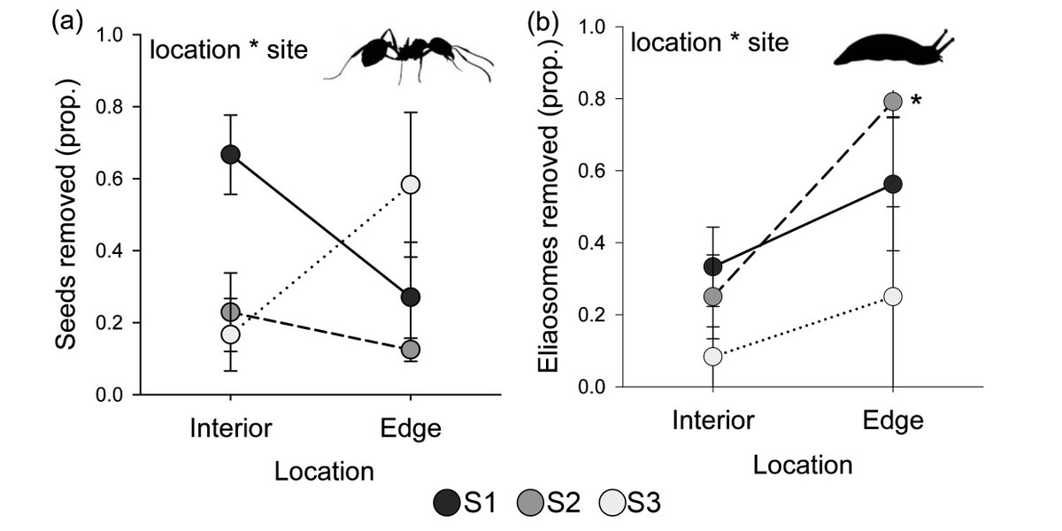 ESAEcosphere's tweet photo. At forest edges, reduced numbers of seed-dispersing #ants &amp; abundant invasive slugs inhibit many native plants' persistence

#Myrmecochory #EdgeEffects #OpenAccess @kirstenmprior @Carmelambuono @BingUBio

https://t.co/ZxdfLgtqul https://t.co/fO1MpKyJIi