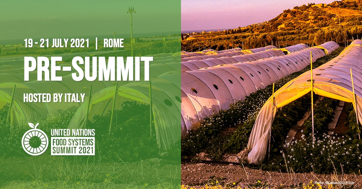 The <a href="/FoodSystems/">UN Food Systems Coordination Hub</a> Pre-Summit aims to deliver an inclusive, evidence-based approach by convening:

- Youth
- Farmers
- Indigenous peoples
- Researchers
- Civil society
- Government leaders 

...and many more, to achieve sustainable #FoodSystems for all!

▶️ bit.ly/fss-ps-pr