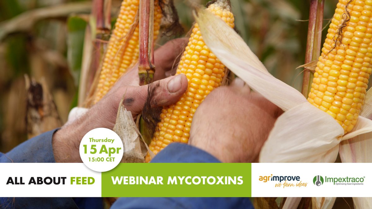 AllAboutFeed's tweet photo. In a new webinar, broadcasted Thursday April 15, at 15:00 CET We will discuss the toxicology of mycotoxins in farm animals and the different strategies for mycotoxin prevention and elimination. Register now for free!

https://t.co/q38byScYrH https://t.co/idHHnrR5Tz