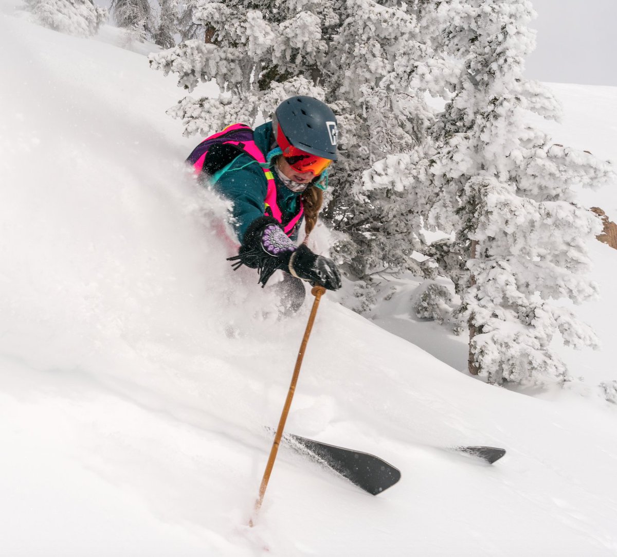 Monarch Mountain tweet media