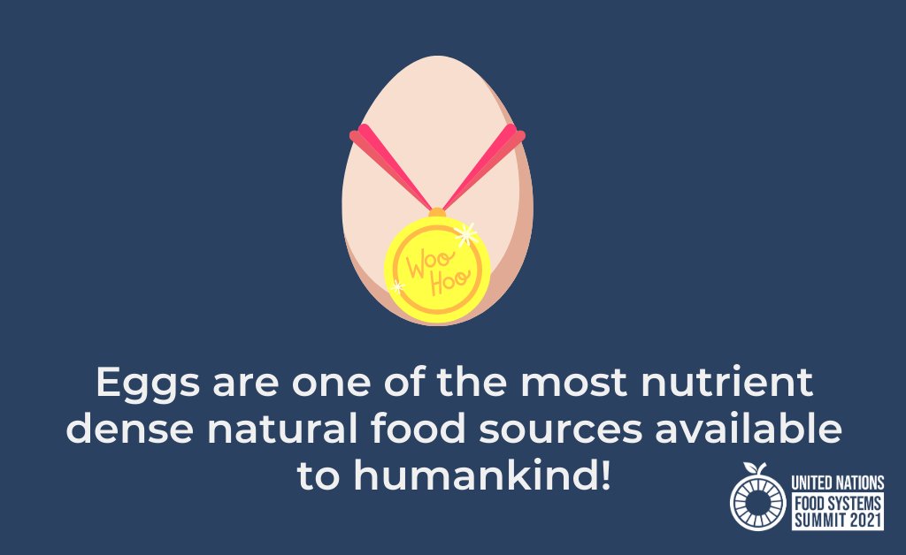 WorldEggOrg's tweet photo. Eggs are one of the most nutrient dense natural food sources available to humankind and are actively helping to feed the growing world population @FoodSystems @FAO #FoodSystems #UNFSS2021 https://t.co/aR1wQxzGgD