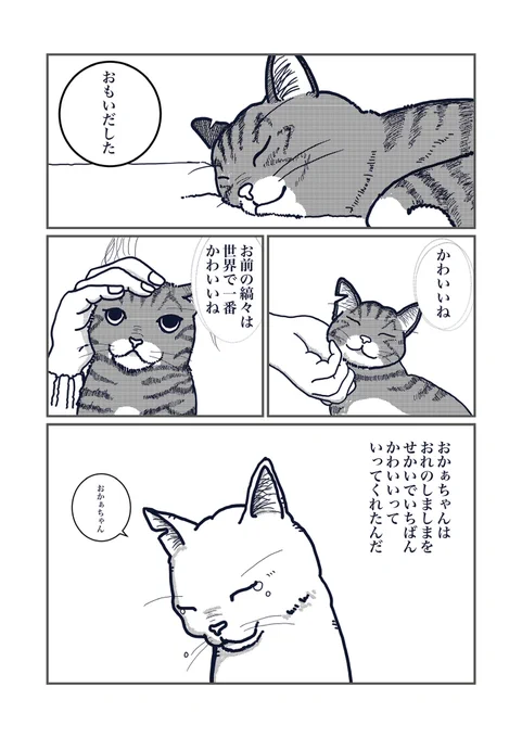 しまった
縞々の日だった

 #キジ猫の日 