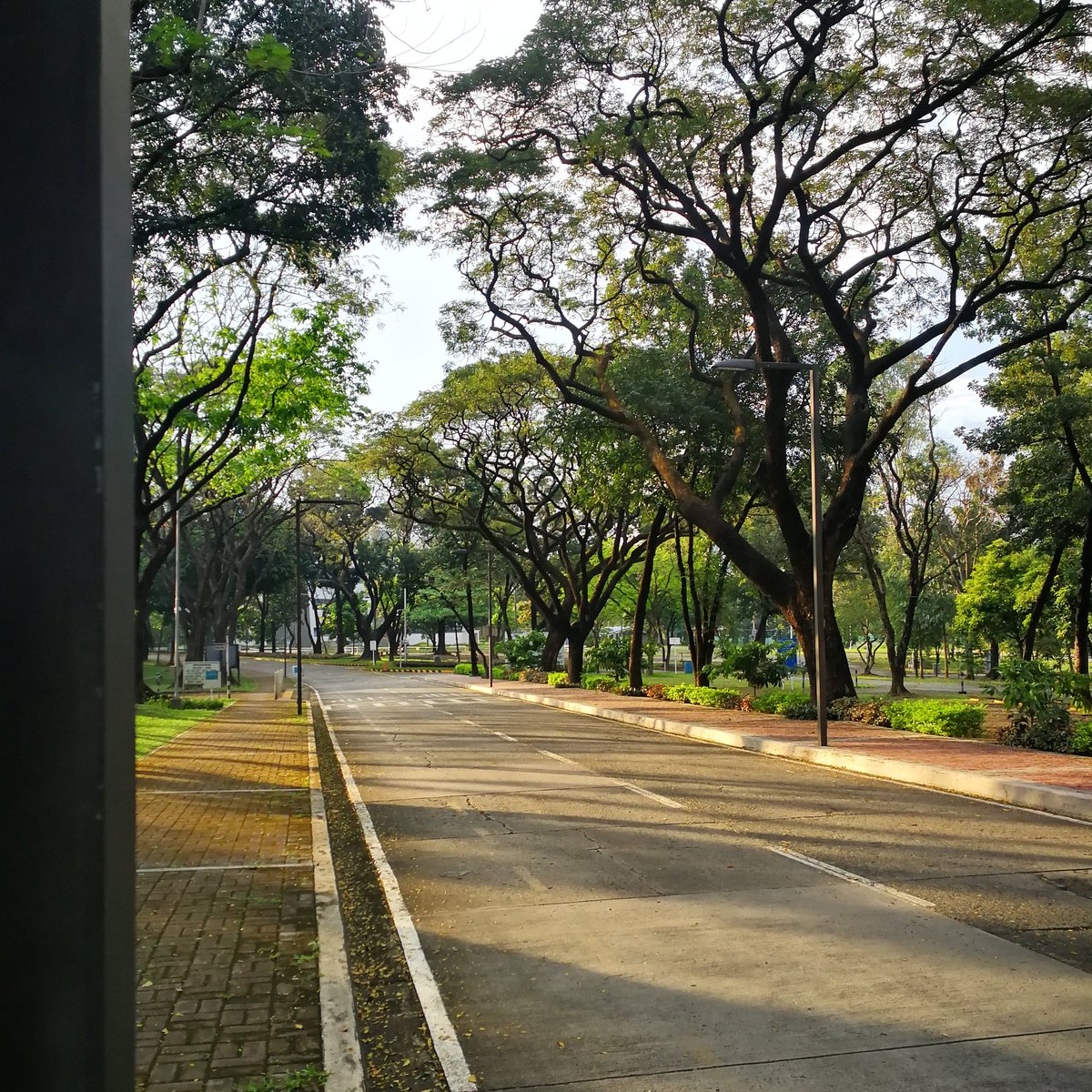MperorJohnny's tweet photo. "We can no longer use the adjective ‘street’ for a street full of trees! We should call it a real temple, a beautiful sanctuary, a real living being!" 
-Mehmet Murat ildan https://t.co/9Pqw99u0L8