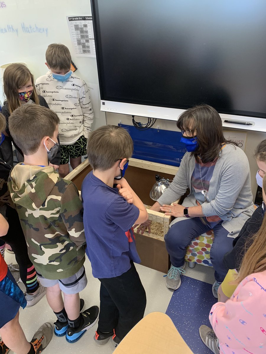 FTMoyerES's tweet photo. Congratulations to Mrs. Cora Dill who was chosen as an excellence in education 2020-2021 Golden Apple Award winner.  We are so proud to have her at the ranch. @FTSchools @FtThomasMatters @CoraDillMES https://t.co/XY3WMAnib4