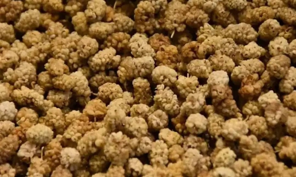 bazaartimesnews's tweet photo. 1.3K tons of Dried mulberry exported from various Turkish cities to 44 countries. 
#turkeyexport #turkey #mulberry https://t.co/sRqqsq4UiS https://t.co/Ah2jpNdEm2