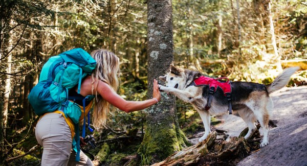 ADIRONDACKFILM's tweet photo. Planning a trip? Why not the Adirondack Mountains in upstate New York? The Adirondacks is pure majesty for outdoor adventures like camping, hiking, and filmmaking! Explore https://t.co/0GO4bC37W1 for more. #MondayOnLocation #AdirondackMountains (images: https://t.co/0GO4bC37W1) https://t.co/NoSCiNmgzN