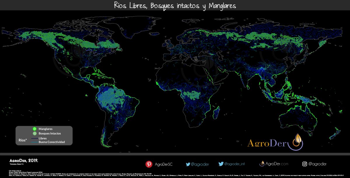 Naturaleza que fluye y perdura: 
Ríos libres, Bosques intactos y manglares en el mundo.

21 y 22 de marzo:  #DiaMundialDeLosBosques y #DiaMundialDelAgua.

#WorldWaterDay #WorldForestDay
