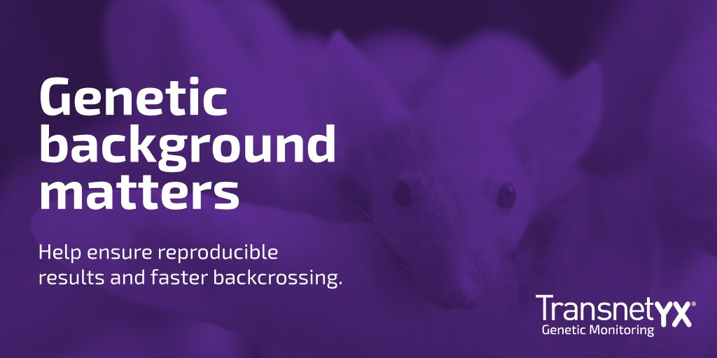 Transnetyx's tweet photo. Are you looking for a #GeneticMonitoring service that helps secure reproducible results and faster backcrossing? We have it!
Donβt let your research fall behind, get started now π https://t.co/p898hk2VGI https://t.co/PbWBNF1pzy