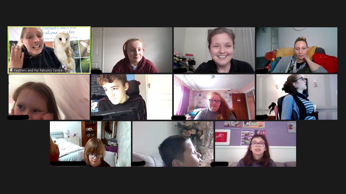 Thank you to Sadie from Feathers and Fur Falconry for the most amazing zoom session!