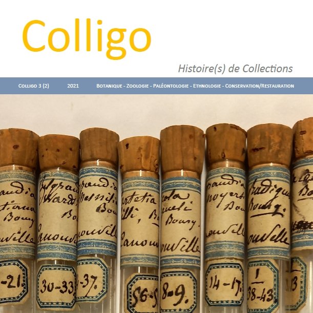 Revue_Colligo's tweet photo. Le n°3(2) de Colligo vient de paraitre. Au sommaire, la collection de coquilles de Dorothy Alford, les correspondantes botanistes d’Esprit Requien et la collection Bourguignat du Musée des Confluences. #Conchology #Botany https://t.co/GaBGAVzwuU