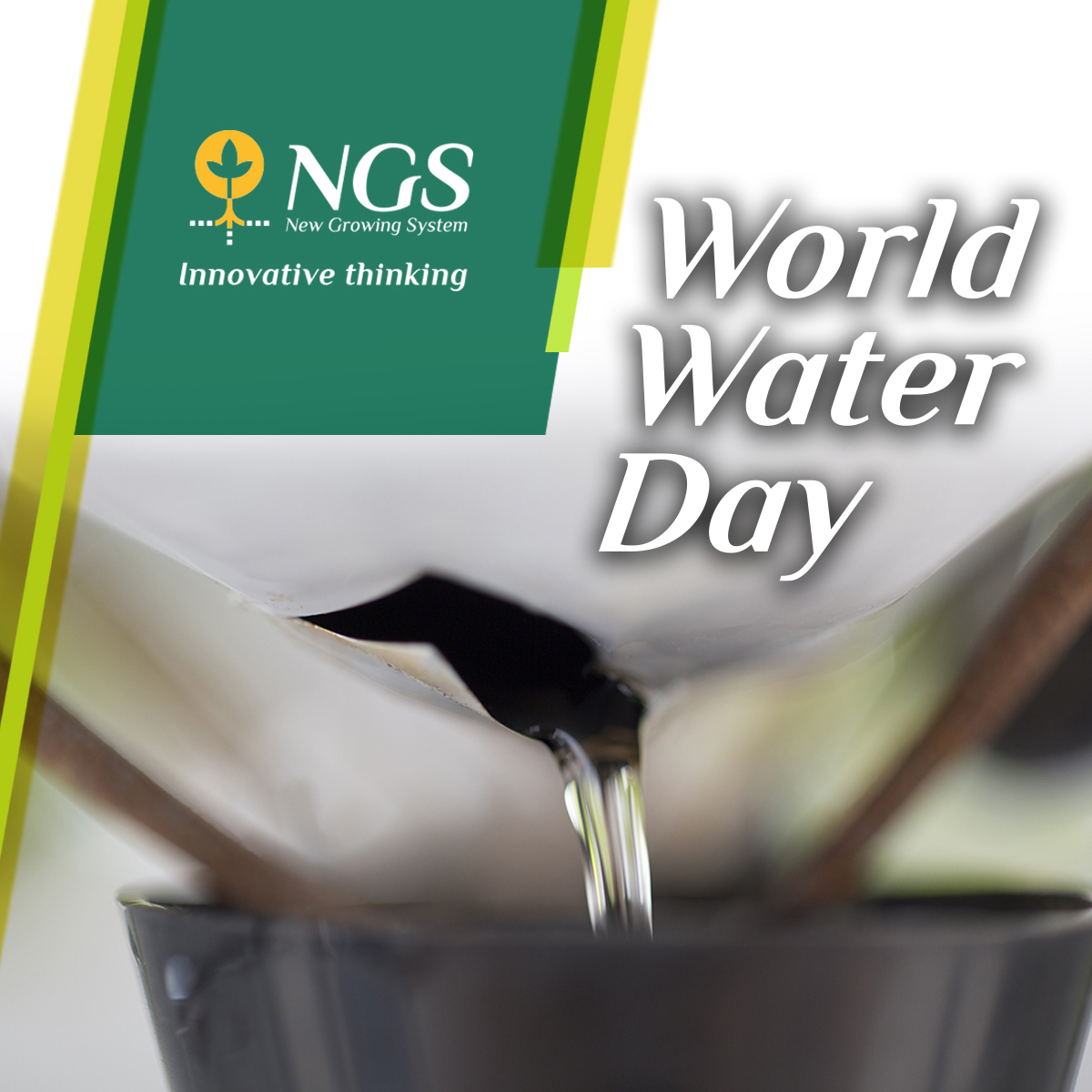 NGSystemNGS's tweet photo. La hidroponía recirculante es el método más eficaz para ahorrar agua y costes:
♻️Produce un nulo impacto ambiental en el suelo.
♻️Se obtienen unos ahorros de agua y nutrientes de entre 50%-80% comparado con el cultivo convencional. https://t.co/XpzJbH05IE