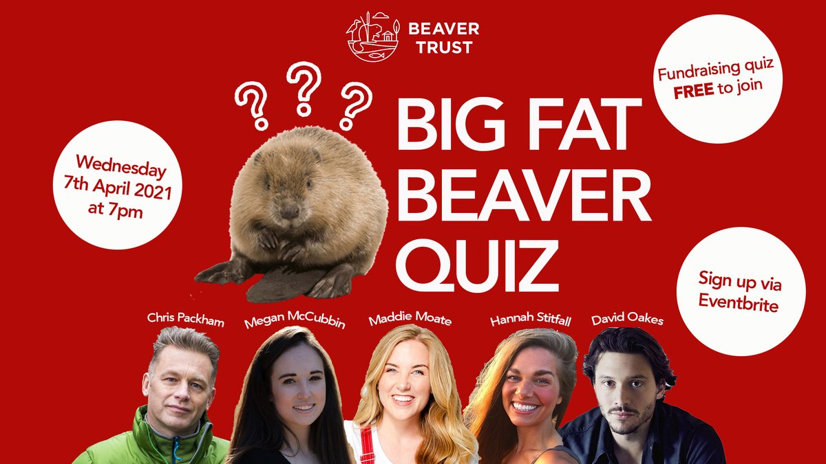 BeaverTrust's tweet photo. 🦫 SO YOU THINK YOU KNOW BEAVERS?!🔎

April 7th is✨International #BEAVER Day✨- we're celebrating *online QUIZ style* with some friends:

@ChrisGPackham @MeganMcCubbin @maddiemoate @HannahStitfall @David_Oakes 

For a night to remember - register here⬇️

https://t.co/KjI0LIo592 https://t.co/TUcYncsk0s