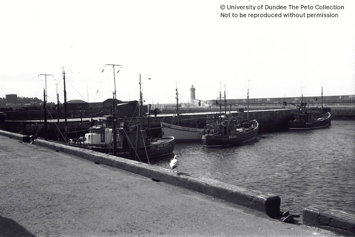 UoD_Archives_RM's tweet photo. 1/2 This week's Peto Collection #poll features 3 photographs taken by Michael Peto in #Moray/#Banffshire in 1954. We have 1) A fisherman with net 2) View through the #railway viaduct in #Cullen 3) Harbour view at #Buckie #archives #DundeeUniCulture #Scotland https://t.co/BjHvTHuL4c