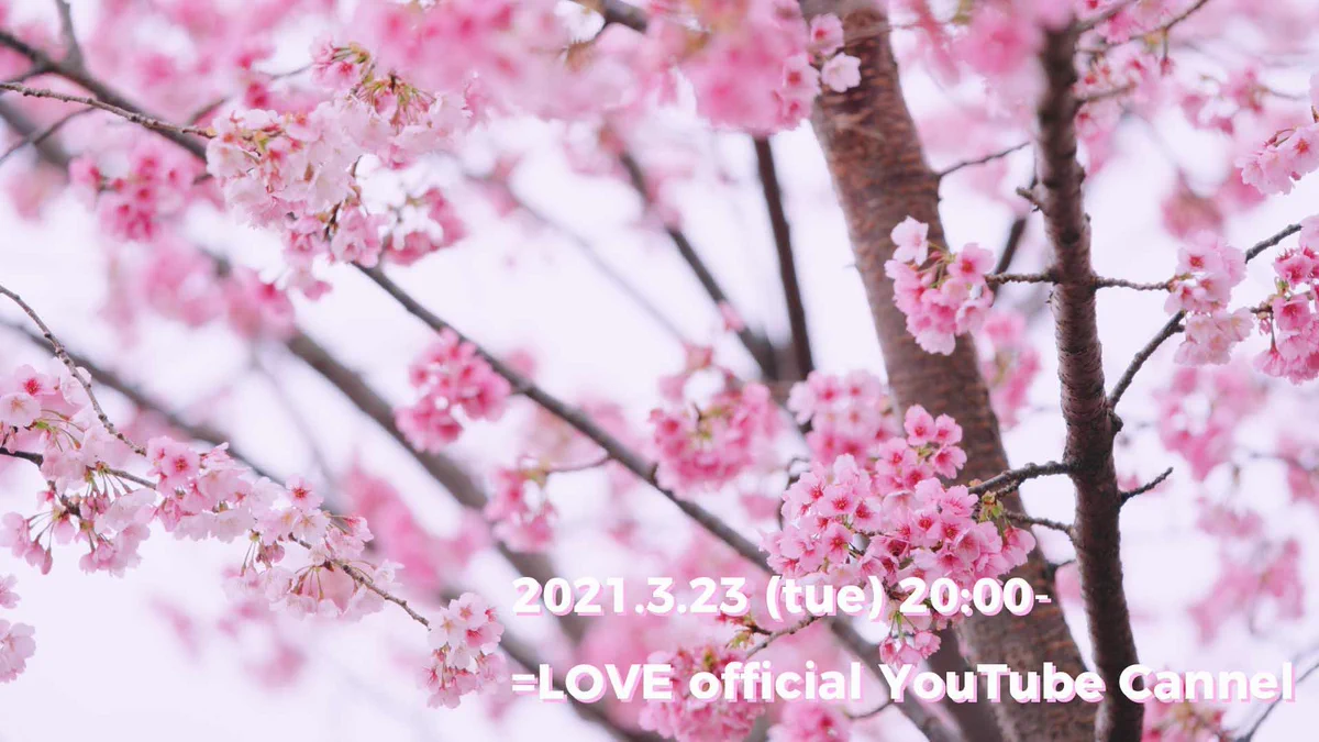 ExFC48pVcAQG1c2?format=webp&