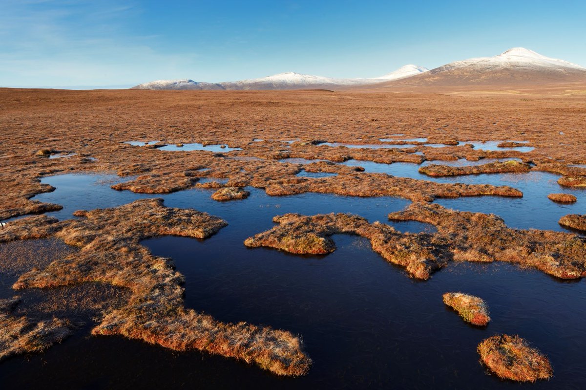 NatureScot tweet media